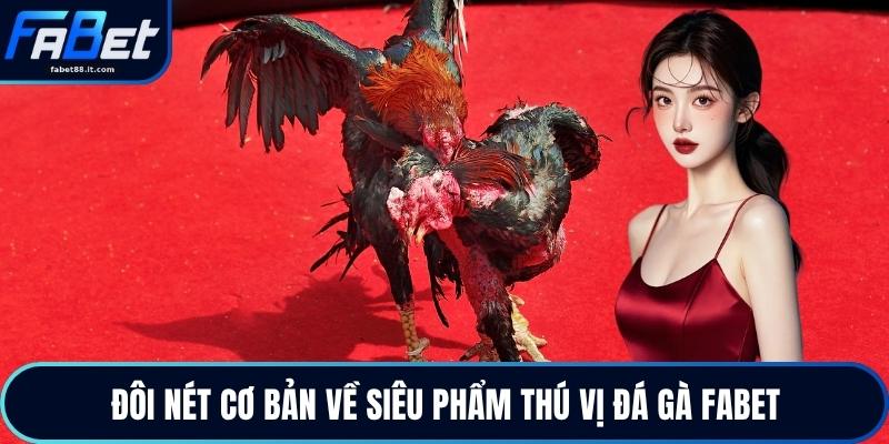 Đá Gà FABET - Trực Tiếp Gà Chiến Đỉnh Cao Mỗi Ngày