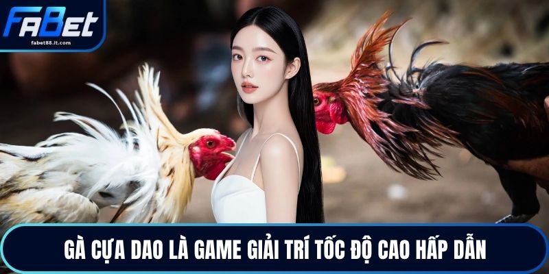 Gà Cựa Dao - Nhịp Độ Sinh Tử Trong Những Pha Ra Đòn