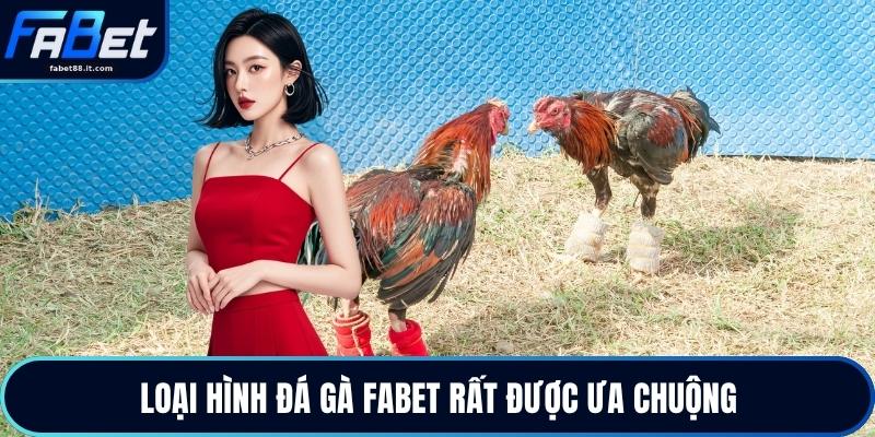Đá Gà FABET - Trực Tiếp Gà Chiến Đỉnh Cao Mỗi Ngày