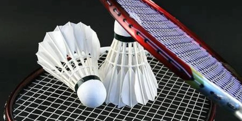Cách Kiểm Tra Chất Lượng Quả Cầu Lông: Cập Nhật Chuẩn Quốc Tế Mới Nhất 2026