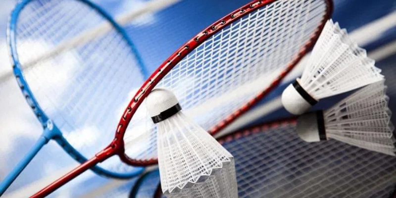 Mua Quả Cầu Lông Ở Đâu Tại TP.HCM: Danh Sách Địa Chỉ Uy Tín Nhất 2026