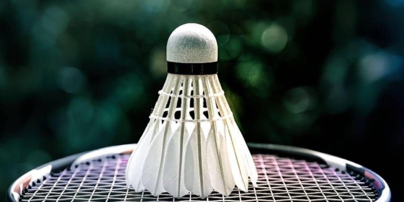 Nên Chọn Quả Cầu Lông Lông Vịt Hay Lông Ngỗng? Chuyên Gia ToniBadminton Phân Tích