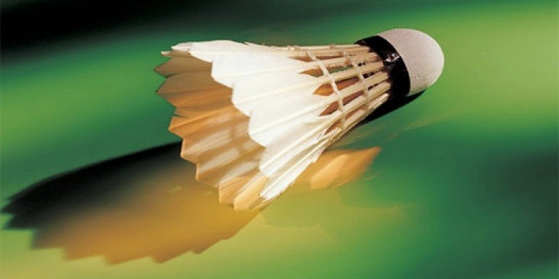 So Sánh Quả Cầu Lông RSL Và Lining: Đâu Là Lựa Chọn Tối Ưu Cho Bạn? - YiliBadminton