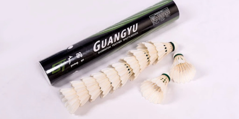 Tiêu Chuẩn Quốc Tế Của Quả Cầu LôngV: Toàn Bộ Quy Định, Cách Nhận Biết Và Lựa Chọn Tốt Nhất