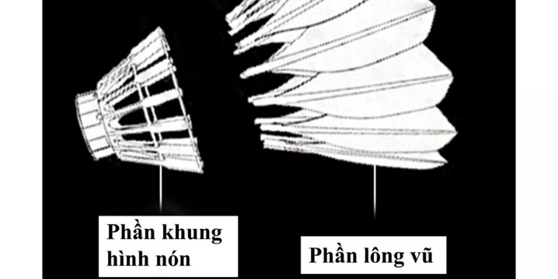 Trọng Lượng Quả Cầu Lông Theo Quy Định: Cập Nhật, Phân Tích Và Hướng Dẫn Chuẩn 2026