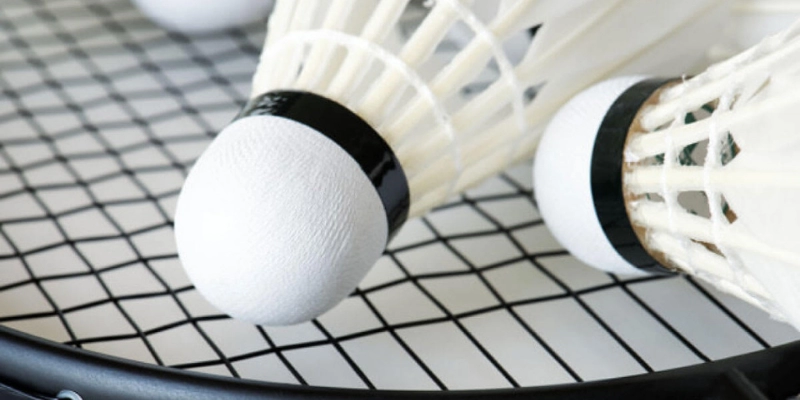 ProKennex Tournament: Sức Hấp Dẫn Từ Lựa Chọn Hàng Đầu Năm 2026