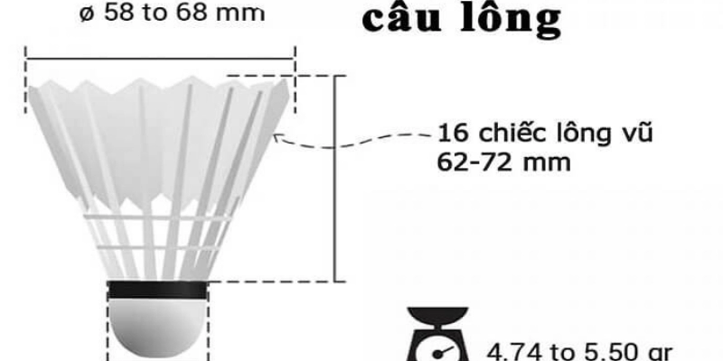 Trọng Lượng Quả Cầu Lông Theo Quy Định: Cập Nhật, Phân Tích Và Hướng Dẫn Chuẩn 2026