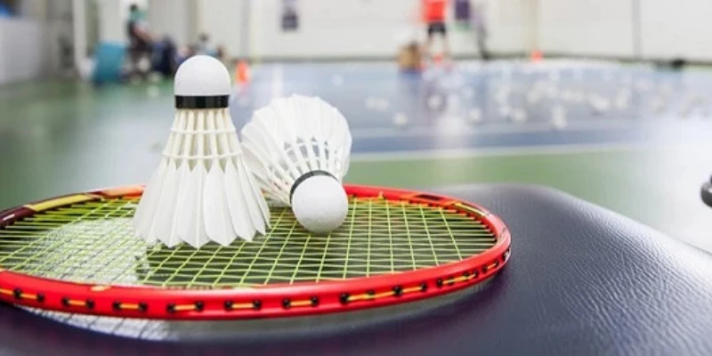 ProKennex King: Đánh Giá Chi Tiết Vợt Cầu Lông Đỉnh Cao Năm 2026