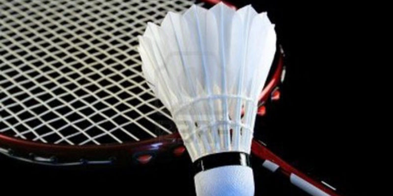 Liên Đoàn Cầu Lông Thế Giới (BWF): Toàn Tập Về Tổ Chức Quyền Lực Nhất