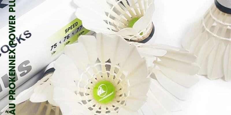 Cầu Lông ProKennex 808: Lựa Chọn Đỉnh Cao Cho Người Chơi