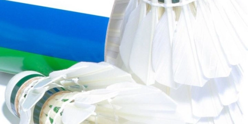 Chất Kiệu Cầu RSL: Tất Tần Tật Từ A-Z – Cùng YiliBadminton