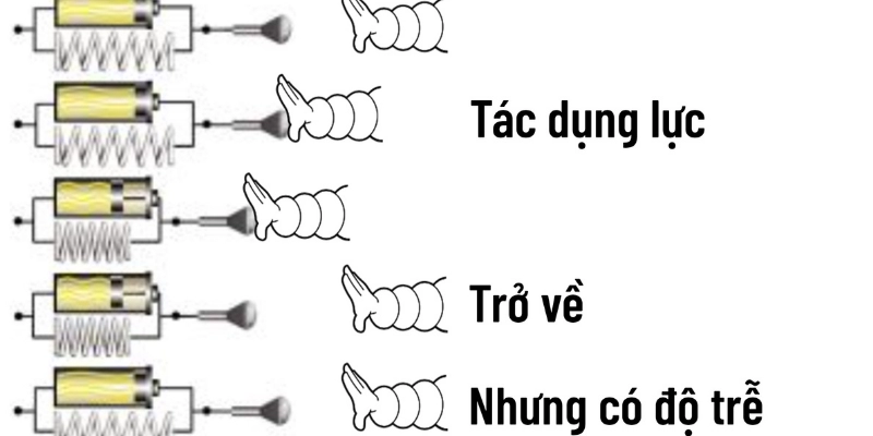 Độ Đàn Hồi: Hiểu Đúng, Ứng Dụng Trong Cầu Lông Và Cuộc Sống