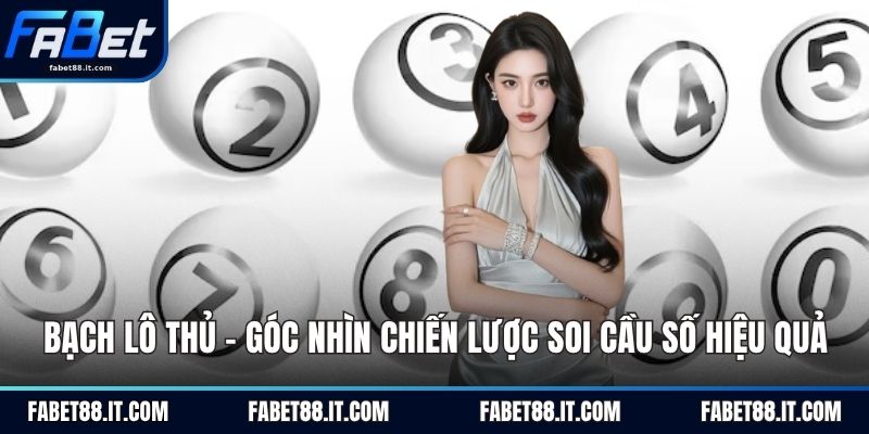 Bạch Thủ Lô -  Góc Nhìn Chiến Lược Soi Cầu Số Hiệu Quả