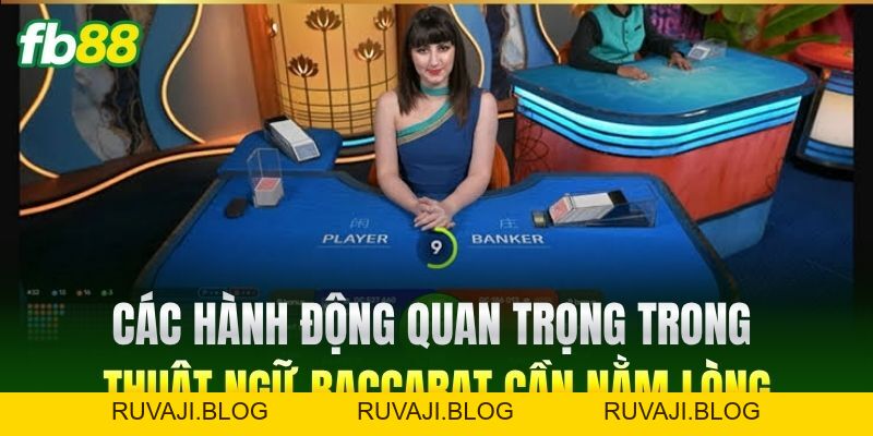 Thuật Ngữ Baccarat Chuẩn Xác Giúp Làm Chủ Bàn Cược FB88 Thuật Ngữ Baccarat Chuẩn Xác Giúp Làm Chủ Bàn Cược FB88