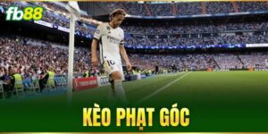 Tin Tức - FB88 nhà cái