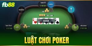 Tin Tức - FB88 nhà cái